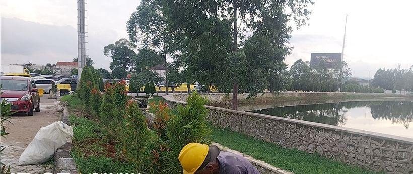 Pemasangan pohon pucuk merah Gate Benda