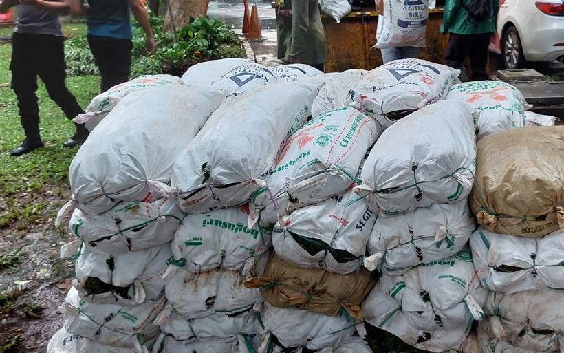 Pengadaan & pengiriman rumput