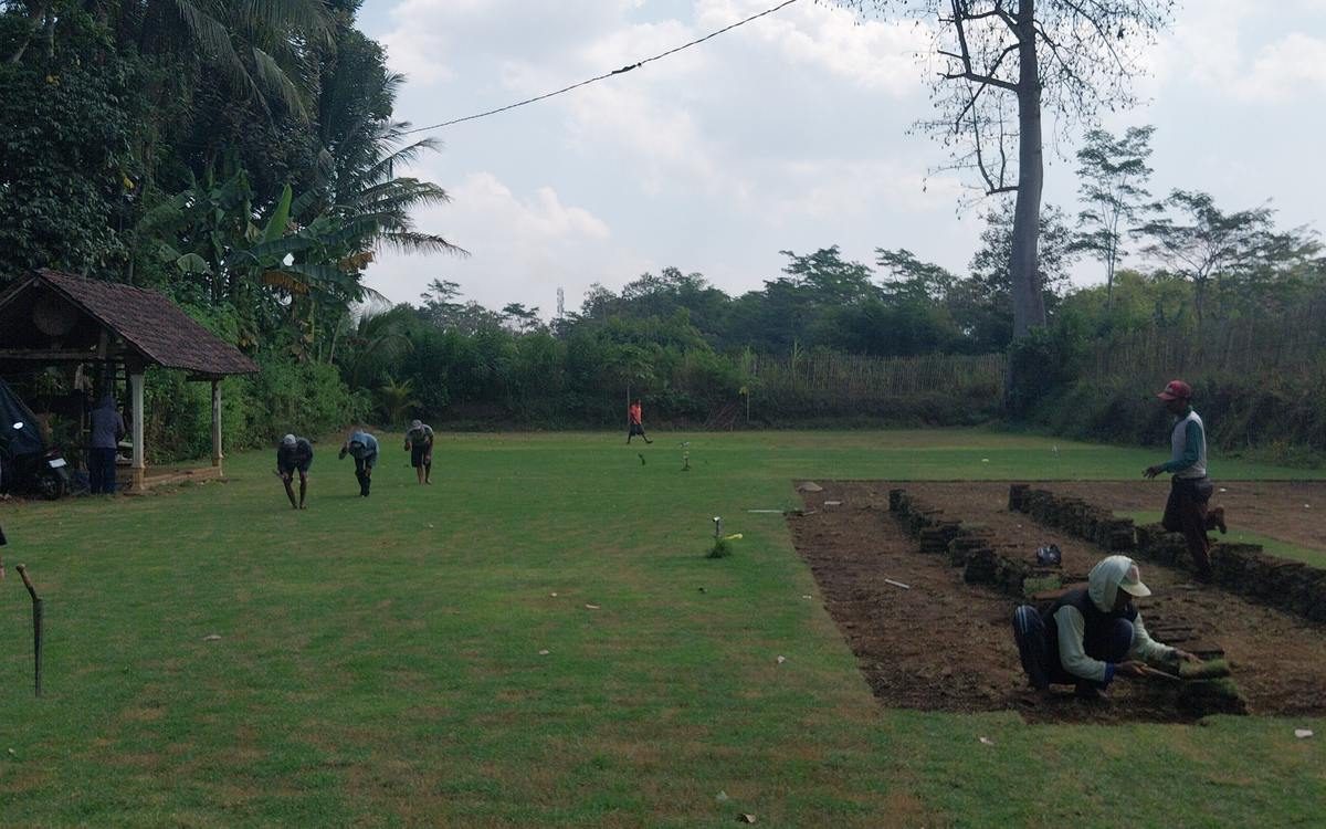 Nursery TJL — pembibitan & panen rumput